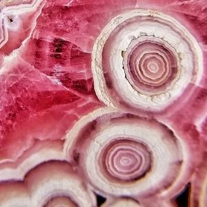 Meet your Posher, Rachael